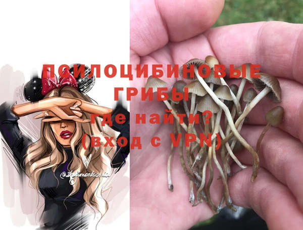 apvp Армянск