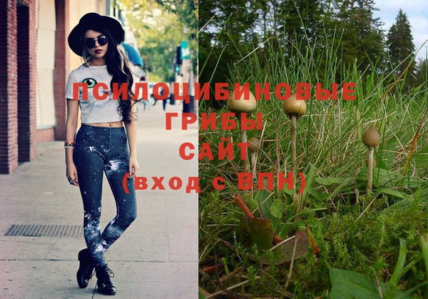 ешки Покачи
